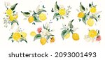 big vector set of lemon branch. ... | Shutterstock .eps vector #2093001493