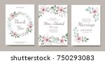 set of card with flower rose ... | Shutterstock .eps vector #750293083