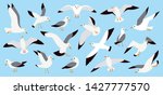 Seagulls flying in blue sky, cartoon atlantic seabird. Sea, Ocean, Gull, bird set in a vector flat style. Big oceangull pack isolated on sky background