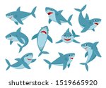 Shark. Cartoon Ocean Fish...