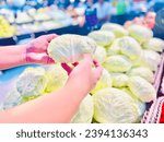 Small photo of woman choosing white cabbage in supermarket" with "A discerning woman carefully selects a crisp, white cabbage.
