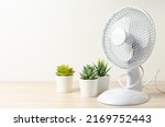 Table fan and succulent flowers....