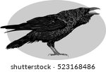 Illustration Of The Black Raven ...