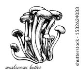 Mushrooms  Vector Drawing Of...