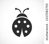 Ladybug Vector Icon On White...