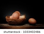 Still Life Eggs On Nest...