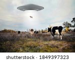 Landscape with cows and ufo....