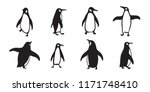 Penguin Vector Icon Logo...