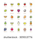 25 fruits icon set. colorful... | Shutterstock .eps vector #305013776
