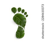 Small photo of green leaf growing footprints, co2 symbol isolated on White Background. Reduce CO2 emission concept.Clean and friendly environment without carbon dioxide emissions.