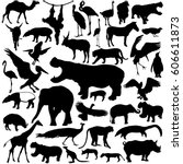 Animal Silhouettes Set Isolated ...