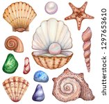 big set of watercolor shells on ... | Shutterstock . vector #1297653610