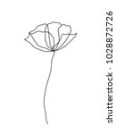 poppy flower line art.... | Shutterstock .eps vector #1028872726