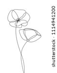 poppy flower line art.... | Shutterstock .eps vector #1114941200
