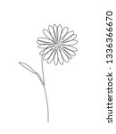 chamomile one line drawing | Shutterstock .eps vector #1336366670