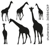 Set Of Vector Silhouettes Of...
