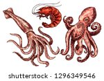 octopus  prawn and squid... | Shutterstock .eps vector #1296349546