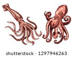 octopus and squid isolated ... | Shutterstock . vector #1297946263