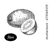 fresh kiwi. hand drawn sketch... | Shutterstock .eps vector #673569259