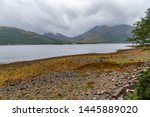 Loch of the Lowes in Scotland image - Free stock photo - Public Domain photo - CC0 Images