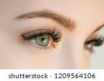 Close up view of beautiful green female eye with long eyelashes, smooth healthy skin. Eyelash extension procedure. Perfect trendy eyebrows. Good vision, contact lenses. Eye health and care. 