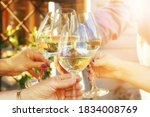 Small photo of Family of different ages people cheerfully celebrate outdoors with glasses of white wine, proclaim toast