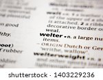 Small photo of Word or phrase welter in a dictionary.