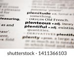 Small photo of Word or phrase plenteous in a dictionary.