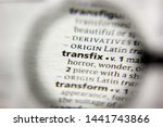Small photo of The word or phrase Transfix in a dictionary