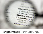 Small photo of The word or phrase Ches abbreviature in a dictionary