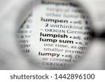 Small photo of The word or phrase Lumpish in a dictionary