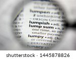 Small photo of The word or phrase Lump sum in a dictionary