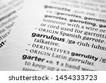 Small photo of Word or phrase Garrulous in a dictionary