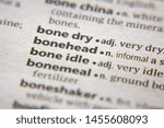 Small photo of Word or phrase Bonehead in a dictionary