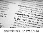 Small photo of Word or phrase Opprobrious in a dictionary