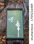 Small photo of Maui, HI, USA - August 24, 2019: The Messmate Eucalyptus Petrel signage post