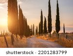 Countryside road with cypresses on sunset. Typical landscape in Tuscany, Italy. 
