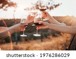 Crop anonymous female friends toasting with glasses of red wine during outdoor party in summer evening in countryside