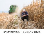Young Farmer In Corn Fields