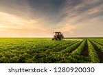 Tractor Spraying Pesticides At  ...