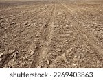 Plowed soil of farm field in spring, Agriculture rural landscape. Plough agriculture field. Countryside background, farm field. Plowed fertile soil