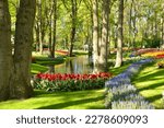Keukenhof gardens blooming spring flowers by the pond. Beautiful ornamental garden landscape at Lisse, Netherlands.