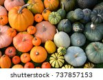 Colorful varieties of pumpkins...