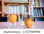 Beaker with pure water and egg sank inside and beaker with salt water and egg floating inside