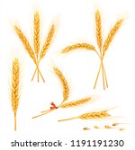 wheat ears isolated on white.... | Shutterstock .eps vector #1191191230