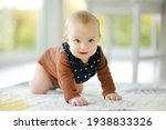 Small photo of Cute five months old baby boy rocking back and forth on hands and knees. Baby during floortime. Cute little child learning to crawl.