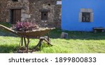 Small photo of Old rusty handbarrow reused as a planter in Granadilla village town square. Medieval town evacuated in 1965, know being rehabilitated. Extremadura, Spain
