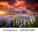 Unusual view of Stokksnes cape on sunset. Location place Vestrahorn (Batman Mount), Iceland, Europe. Scenic image of exotic world landmarks. Popular tourist attraction. Discover the beauty of earth.