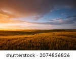Splendid scene of agricultural land in the sunlight in the evening. Location place of Ukrainian agrarian region, Europe. Scenic image of dramatic light. Perfect natural wallpaper. Beauty of earth.