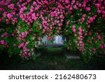 Small photo of Fantastic pattern of Climbing roses on the wall of the house in full bloom. Botanical garden on a sunny day. Scenic image of flowering orchard in springtime. Perfect photo wallpaper. Beauty of earth.